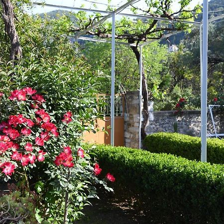Art Flowers And Culture 米斯特拉斯 外观 照片