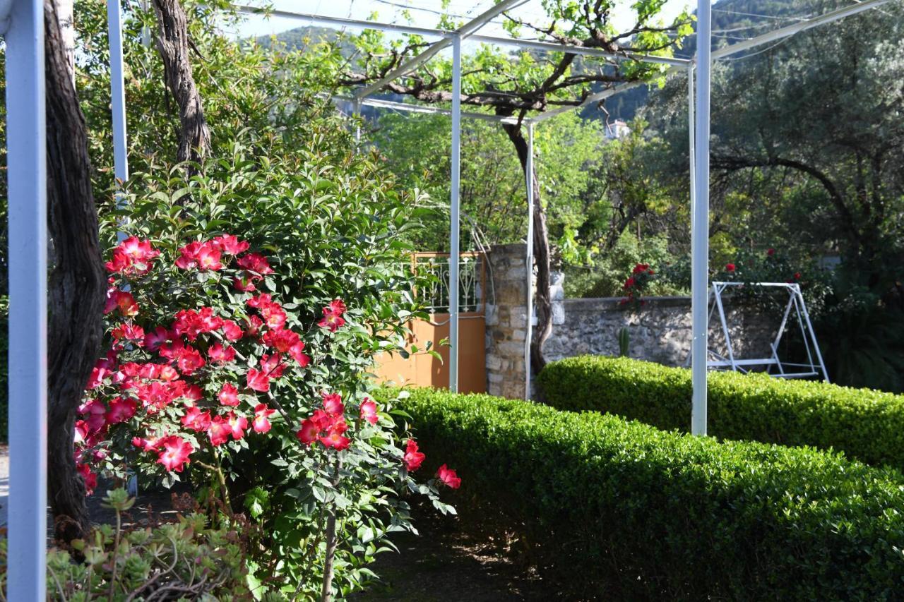 Art Flowers And Culture 米斯特拉斯 外观 照片
