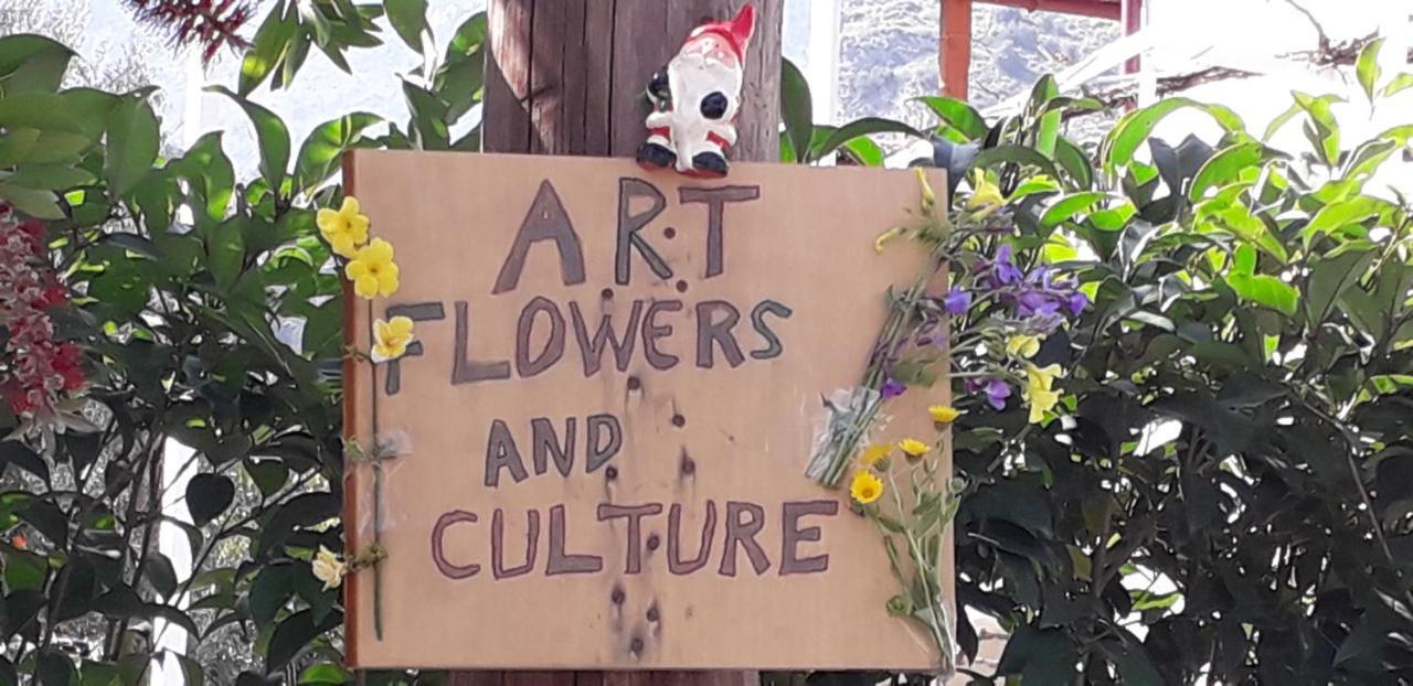 Art Flowers And Culture 米斯特拉斯 外观 照片